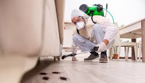 Pest Control for Restaurants and Food Service in Belleview, FL